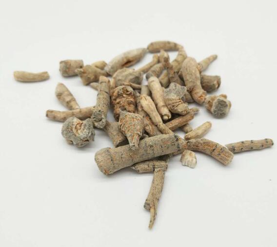 三七 NOTOGINSENG RADIX ET RHIZOMA