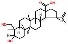 普菲德專題產品推薦-白頭翁系列(圖2)