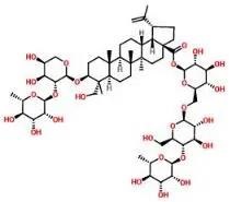 普菲德專題產品推薦-白頭翁系列(圖4)