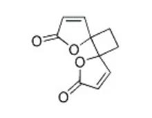 普菲德專題產品推薦-白頭翁系列(圖5)