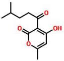 普菲德專題產品推薦-廣藿香系列(圖2)