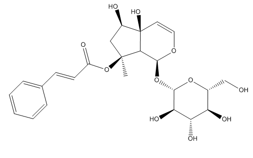 普菲德專題產品推薦-玄參系列