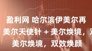 盈利网 哈尔滨伊美尔再生材料：美尔天使针 + 美尔焕境，双效焕颜